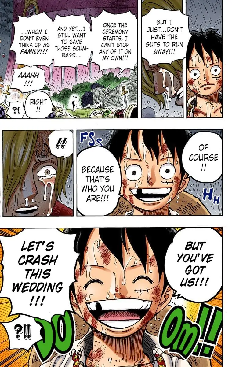 One Piece Digital Colored Chapter 856 image 17